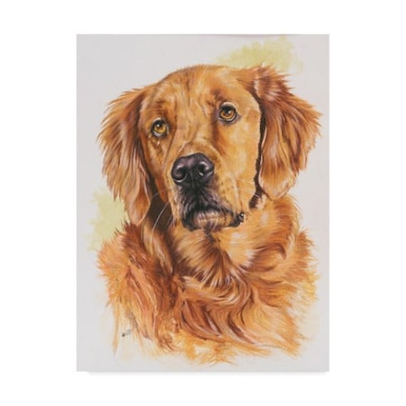 Barbara Keith 'Golden Retriever Portrait' Canvas Art,35x47